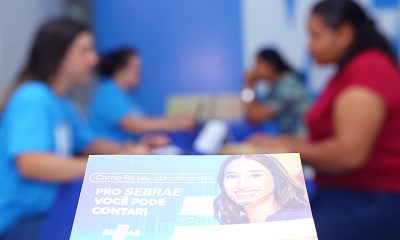SEBRAE MEI