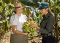 Sebrae participa do 2º Dia de Campo Nelore Cedro em Paraíso do Tocantins